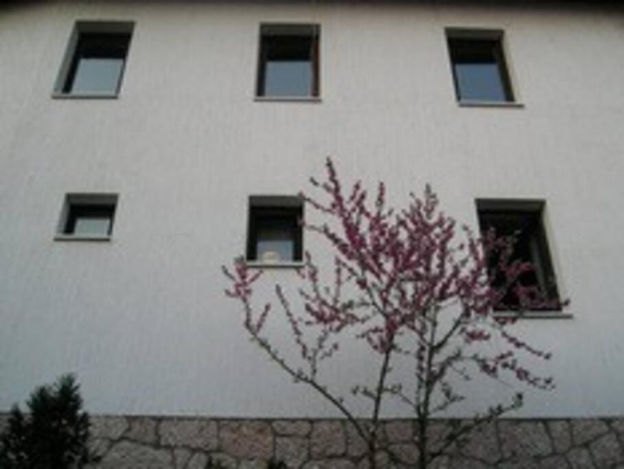 Apartment In Old Town - Top Location 塞拉耶佛 外观 照片